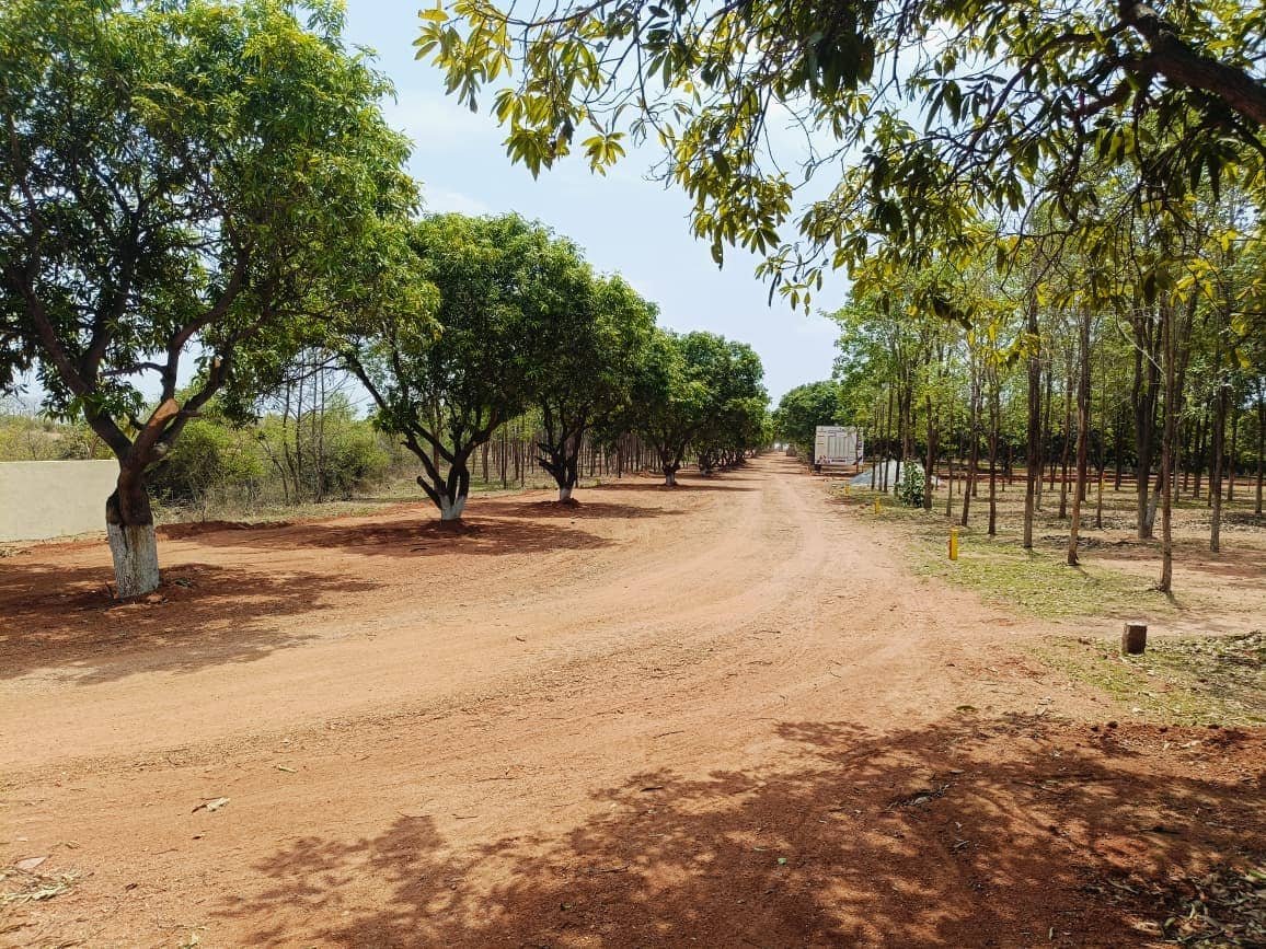 Mango Meadows — LRS-Paid Farm Plots at Golanukonda, near Yadadri — photo 4